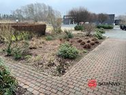 erhvervs lokaler 427 m2  + 1200 m2 udstillingsplads. Andere... - 22