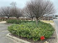 erhvervs lokaler 427 m2  + 1200 m2 udstillingsplads. Andere... - 20