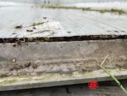 Langendorf SKA36 60m3 alu kasse med plastindlæg Tipper - 10